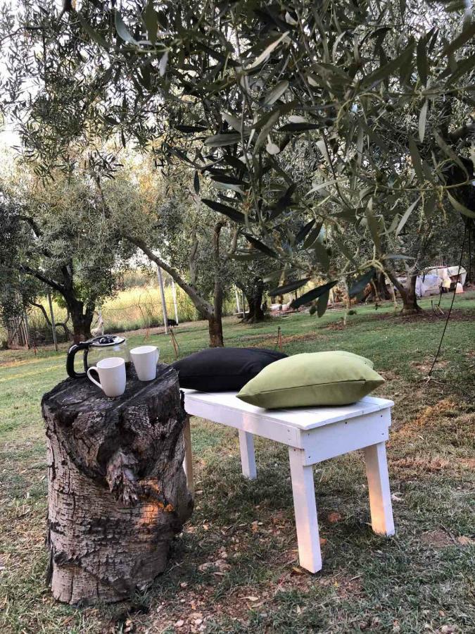 Olive 2 Vakantiehuis Ayios Mamas