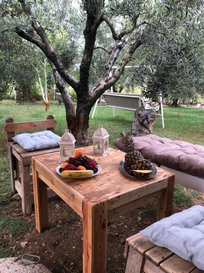 Vakantiehuis Olive 2