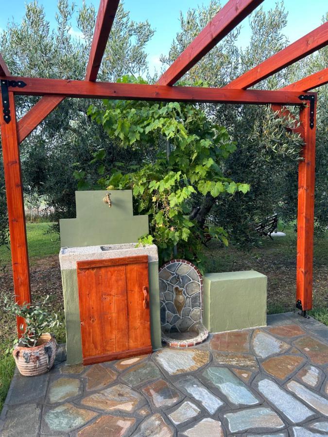 Vakantiehuis Olive 2