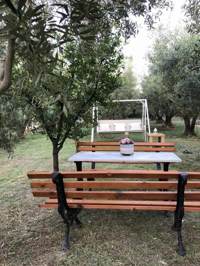 Holiday home Olive 2 Agios Mamas (Chalkidiki)